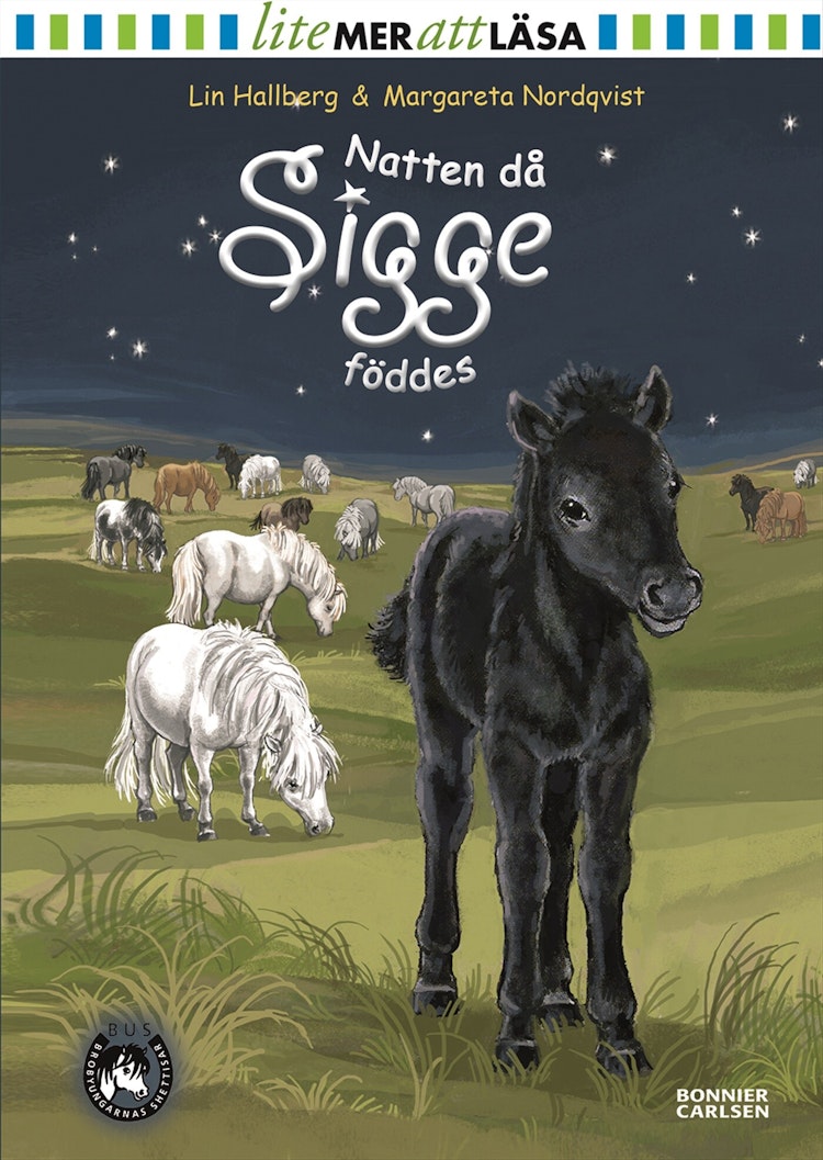 Natten då Sigge föddes  - finns i Rutströms bokhandel