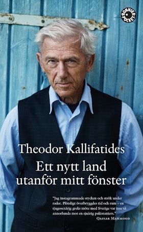 Ett nytt land utanför mitt fönster (pocket)