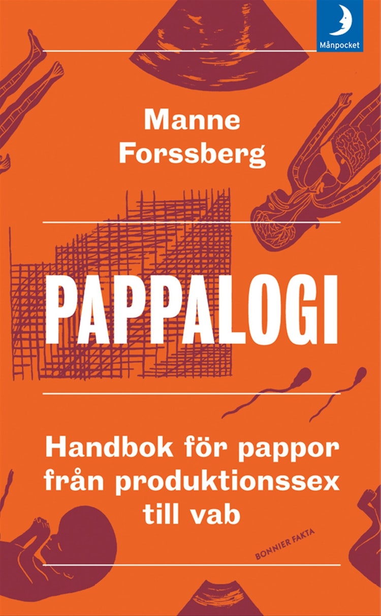 Pappalogi - finns i Rutströms bokhandel