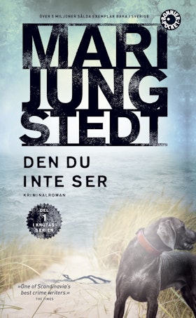 Den du inte ser (pocket)
