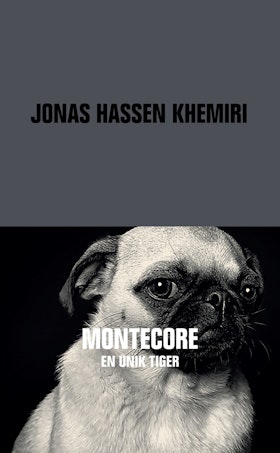 Montecore (pocket)