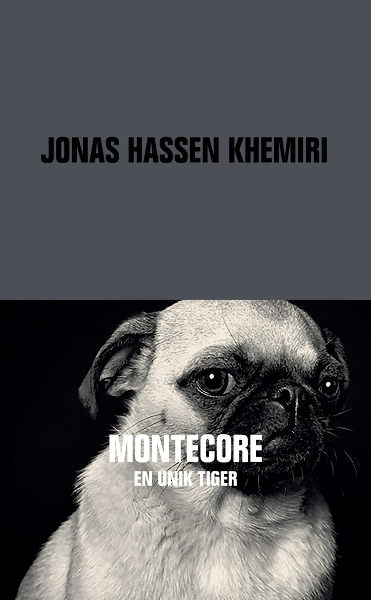Montecore - finns i Rutströms bokhandel