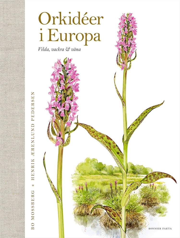 Orkidéer i Europa - finns i Rutströms bokhandel