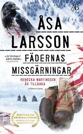 Fädernas missgärningar (pocket)