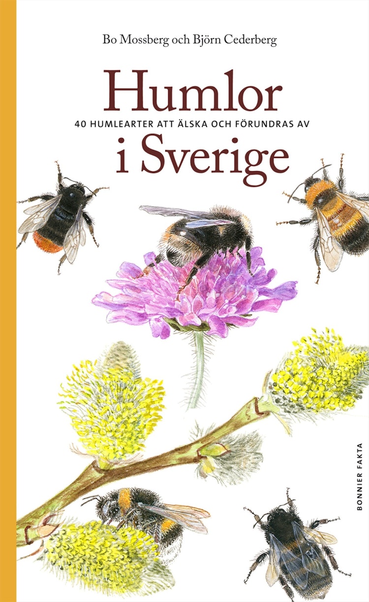 Humlor i Sverige - finns i Rutströms bokhandel