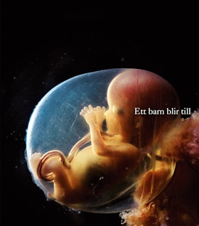 Ett barn blir till (5:e utgåvan)