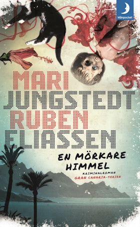 En mörkare himmel (pocket)