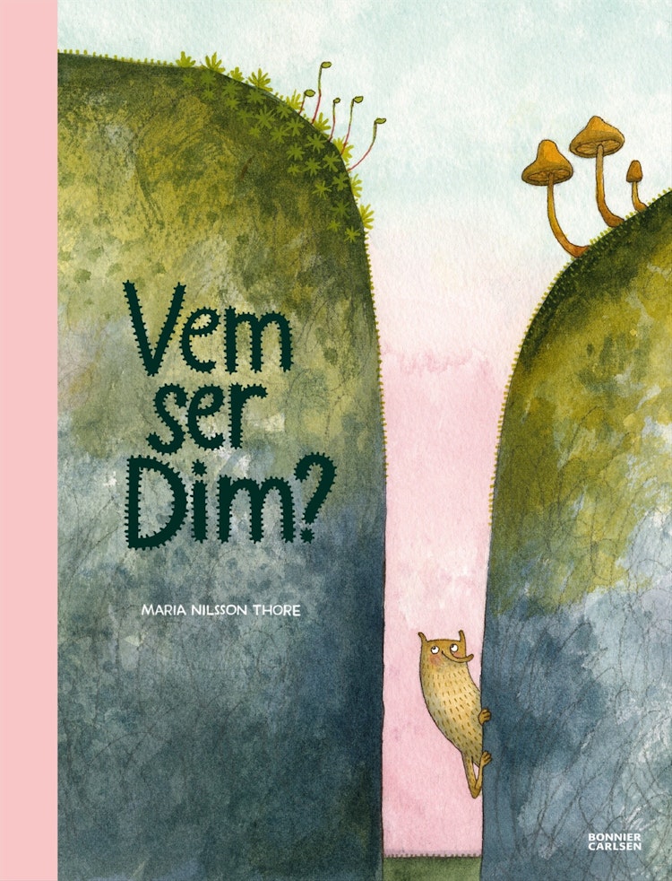 Vem ser Dim? - finns i Rutströms bokhandel