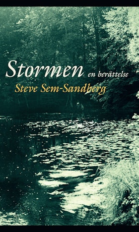 Stormen (pocket)