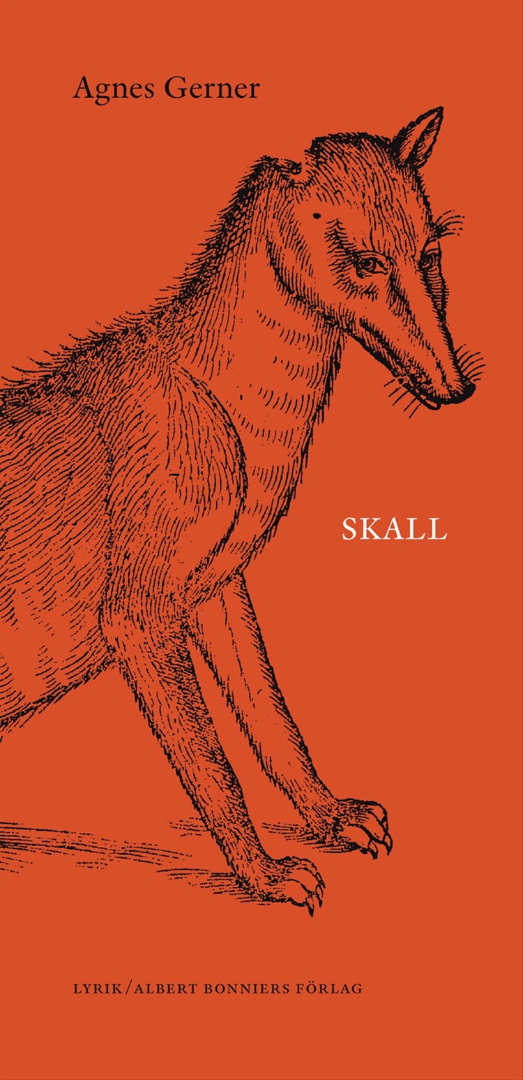 Skall - finns i Rutströms bokhandel