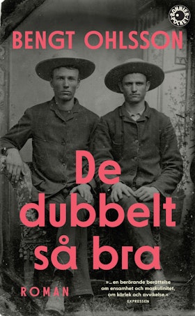 De dubbelt så bra (pocket)