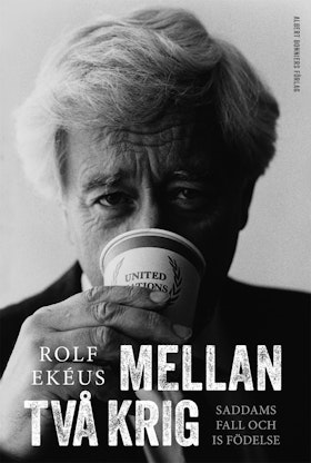 Mellan två krig