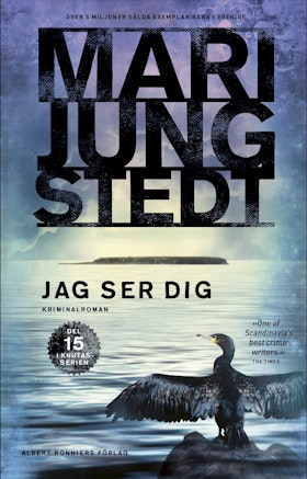 Jag ser dig (storpocket)