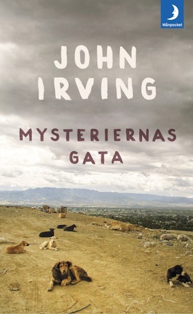 Mysteriernas gata (pocket)