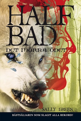 Half bad - Det mörka ödet