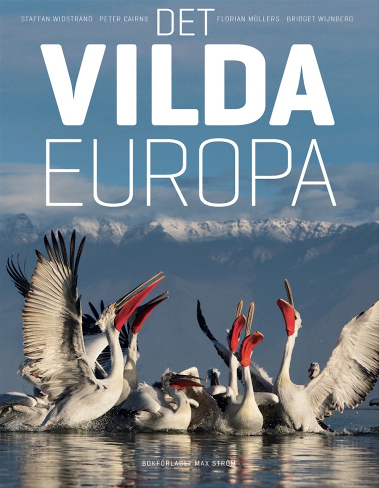 Det vilda Europa - finns i Rutströms bokhandel
