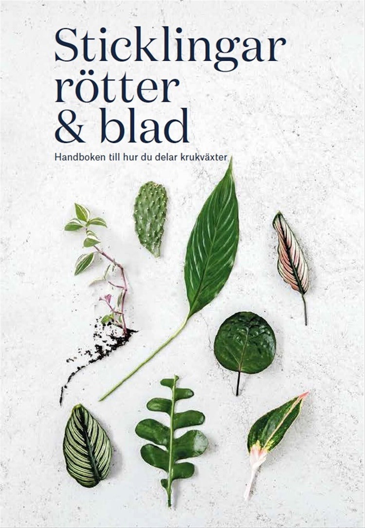 Sticklingar, rötter & blad - finns i Rutströms bokhandel
