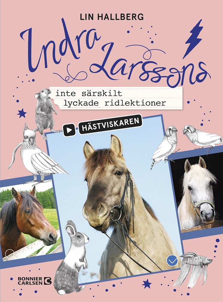 Indra Larssons inte särskilt lyckade ridlektioner - finns i Rutströms bokhandel
