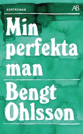 Min perfekta man (pocket)