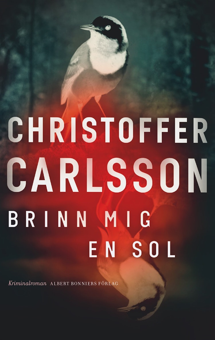 Brinn mig en sol - finns i Rutströms bokhandel