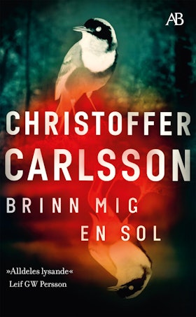Brinn mig en sol (pocket)