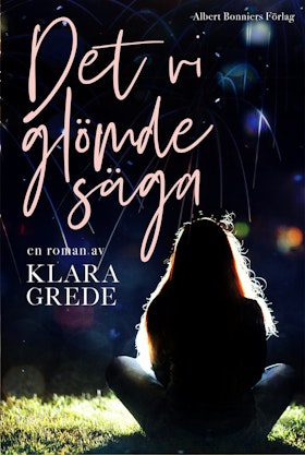 Det vi glömde säga