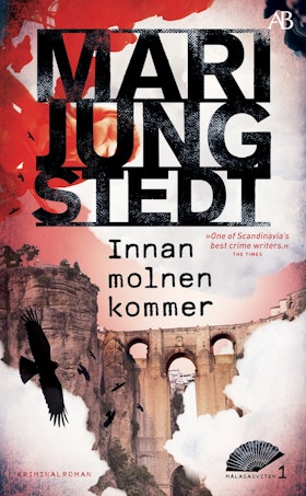 Innan molnen kommer (pocket)