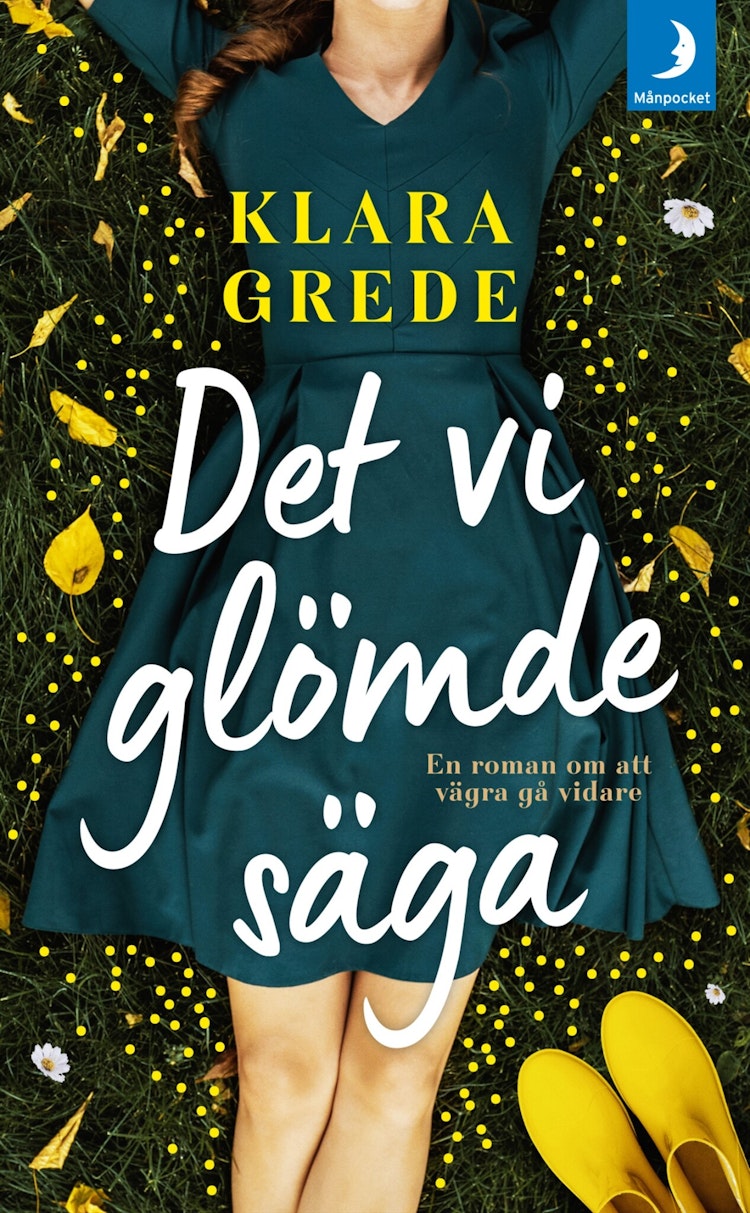 Det vi glömde säga - finns i Rutströms bokhandel