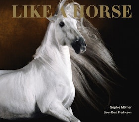 Like A Horse