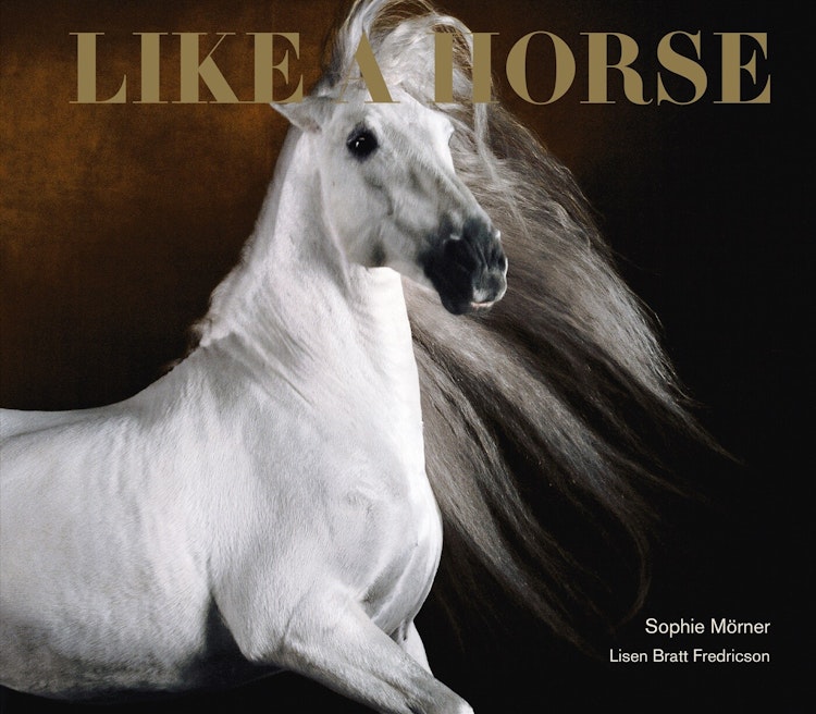 Like A Horse - finns i Rutströms bokhandel