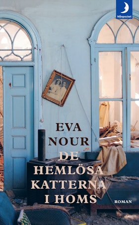 De hemlösa katterna i Homs (pocket)