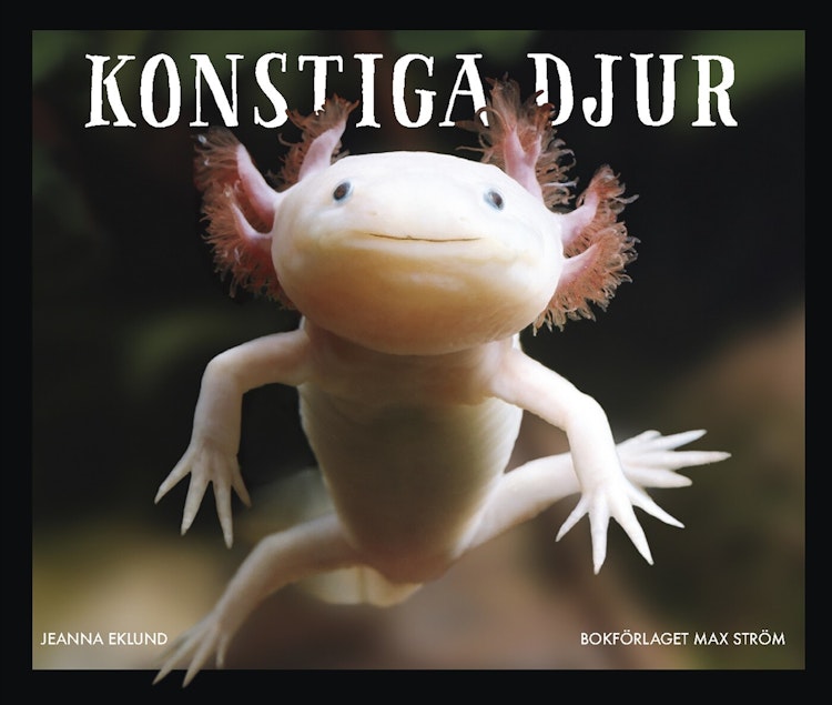 Konstiga djur - finns i Rutströms bokhandel