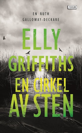 En cirkel av sten (pocket)