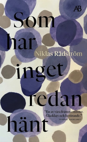Som har inget redan hänt (pocket)