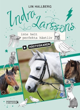 Indra Larssons inte helt perfekta hästliv