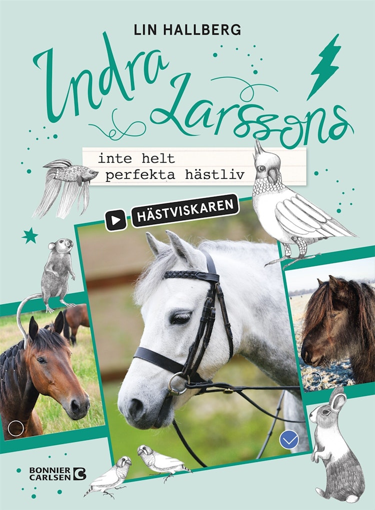 Indra Larssons inte helt perfekta hästliv - finns i Rutströms bokhandel