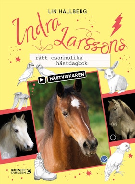 Indra Larssons rätt osannolika hästdagbok