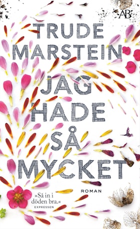 Jag hade så mycket (pocket)