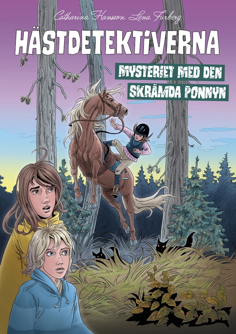 Hästdetektiverna. Mysteriet med den skrämda ponnyn - finns i Rutströms bokhandel