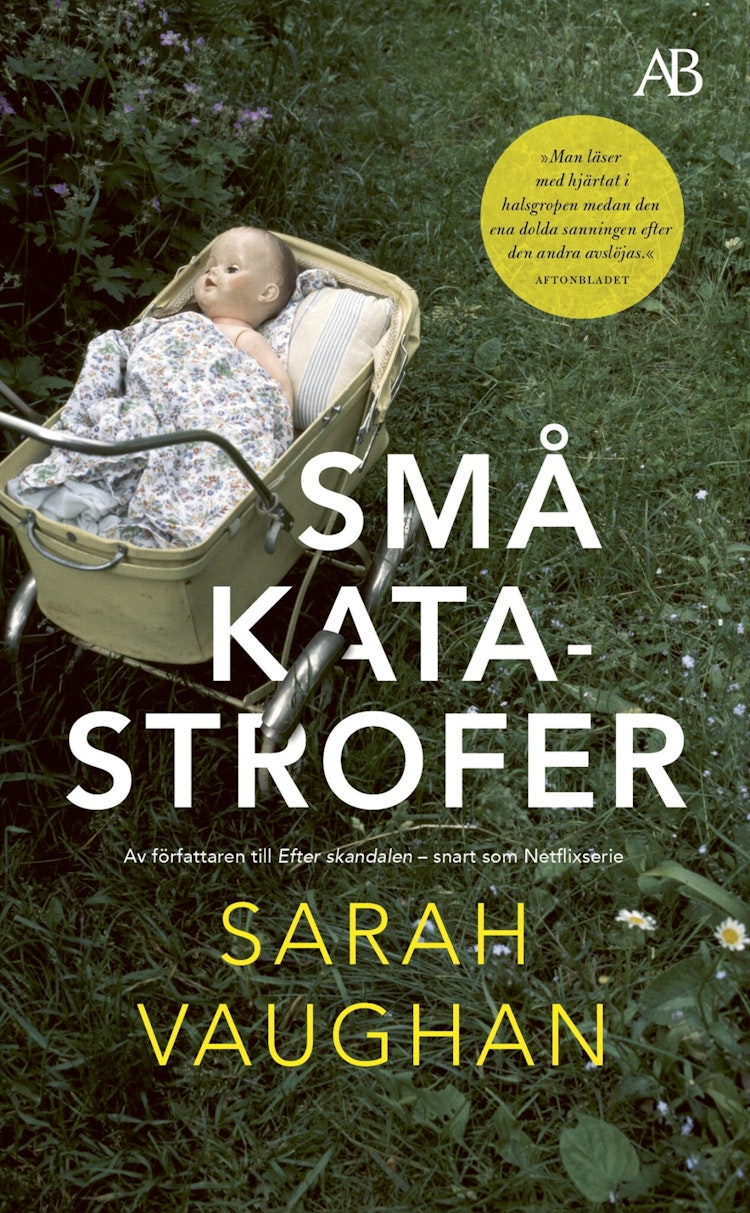 Små katastrofer - finns i Rutströms bokhandel