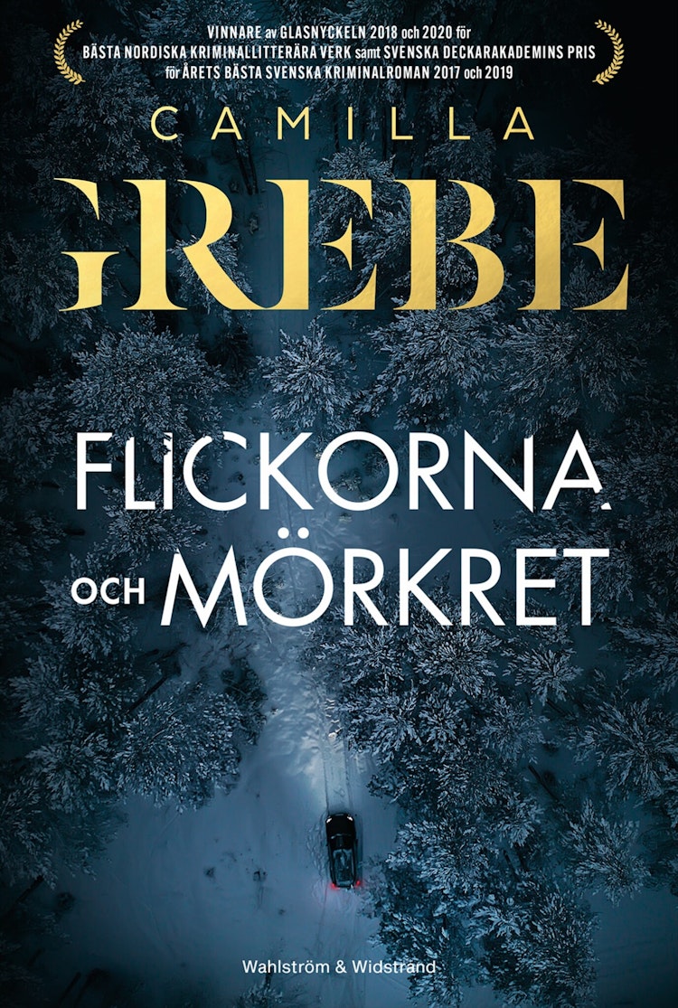 Flickorna och Mörkret - finns i Rutströms bokhandel