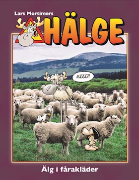 Hälge – Älg i fårakläder
