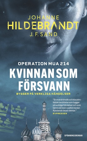 Kvinnan som försvann (pocket)