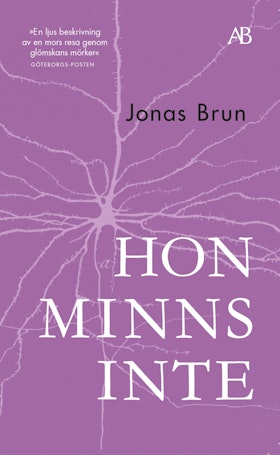 Hon minns inte (pocket)