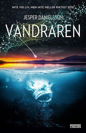 Vandraren