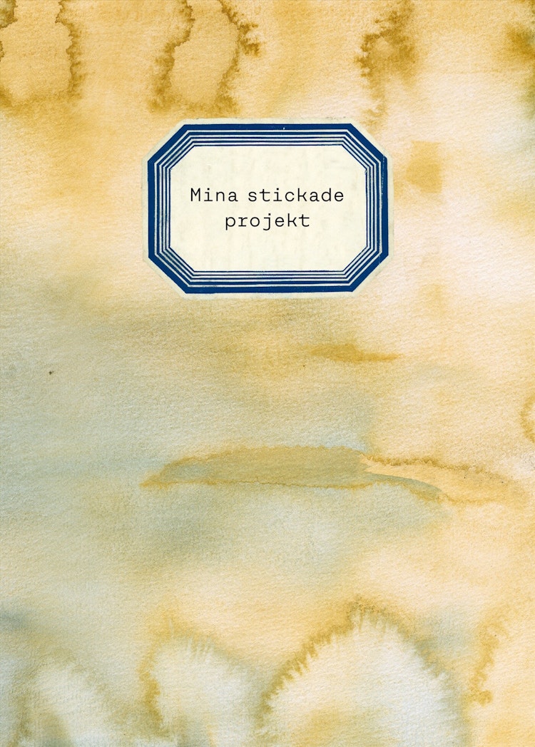 Mina stickade projekt - finns i Rutströms bokhandel