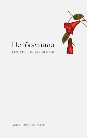 De försvunna