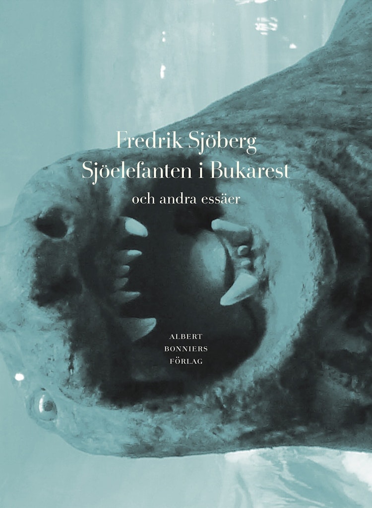 Sjöelefanten i Bukarest - finns i Rutströms bokhandel