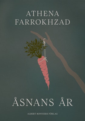 Åsnans år