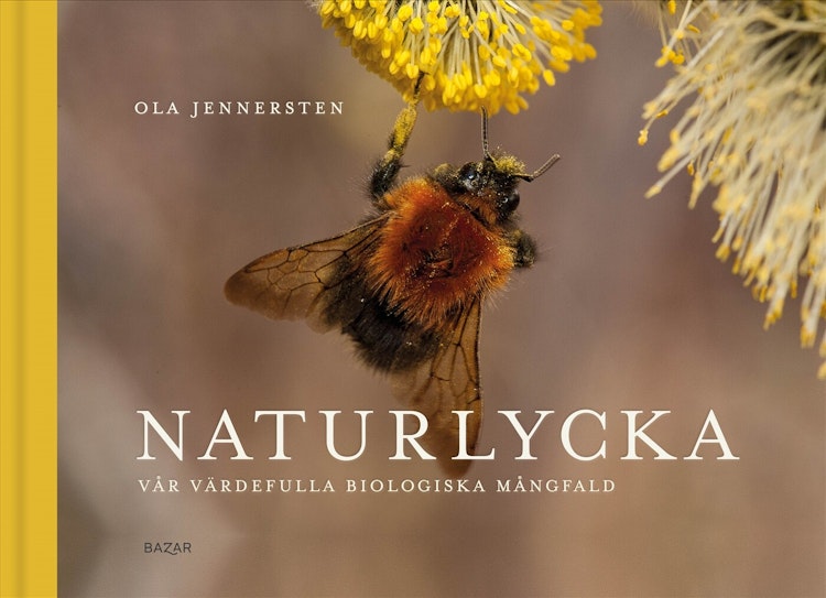 Naturlycka - finns i Rutströms bokhandel